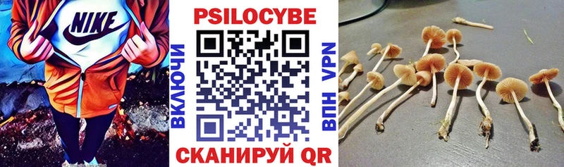 Галлюциногенные грибы Magic Shrooms  Староминская 
